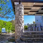 Bouganvilla