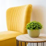 Euphoria - Elegance Rooms