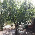 Tenuta Santarcangelo Agriturismo & B.B.